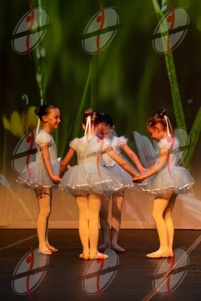 SHOW_00370.jpg